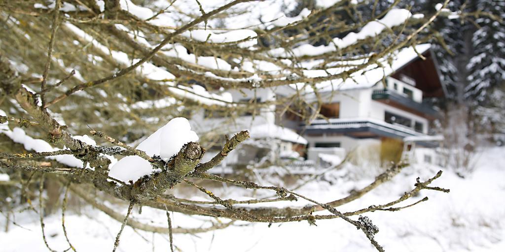 Hotel-Pension Zum Paradies Willingen  Luaran gambar