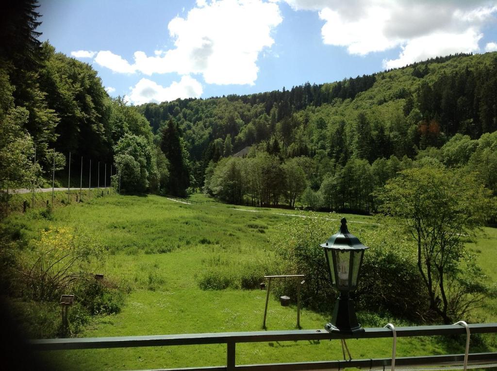 Hotel-Pension Zum Paradies Willingen  Luaran gambar